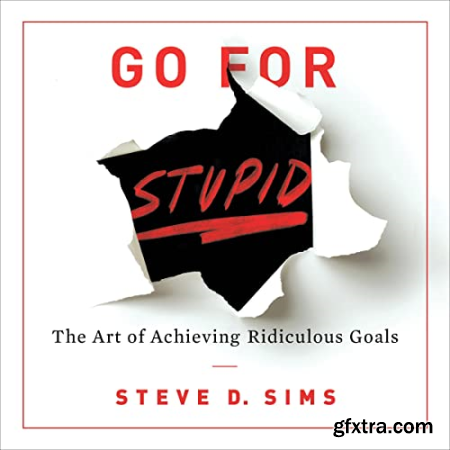 Go for Stupid The Art of Achieving Ridiculous Goals