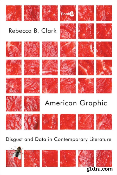 American Graphic Disgust and Data in Contemporary Literature