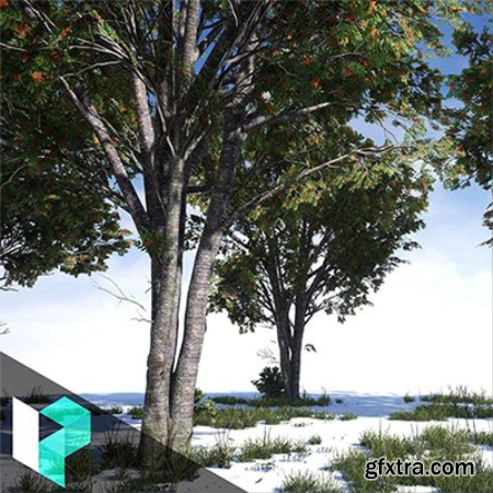 Game-Ready Tree Creation from Maya to Unreal