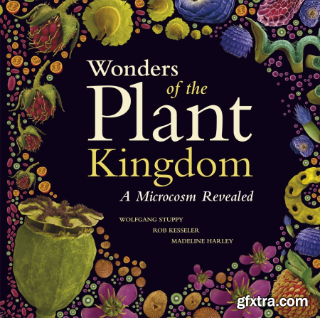 Wonders of the Plant Kingdom A Microcosm Revealed