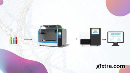 Differential Gene Expression Using Ngs Data For Beginners