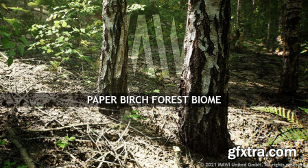 Unreal Engine Marketplace - MW Paper Birch Tree Forest Biome (5.0 - 5.1)