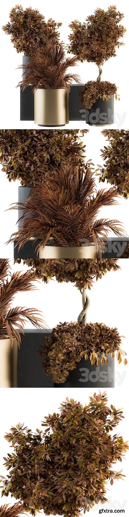 Pro 3DSky - Indoor Plant Set 91 – Black and Gold (Red Plant)