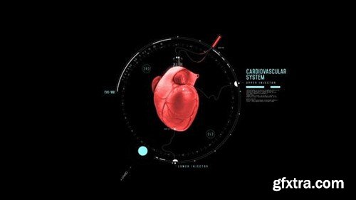 Videohive HUD Heart Chambers 44587954