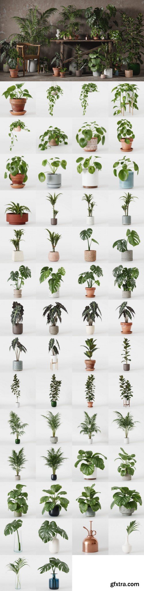 3DCollective - Interior Plants Pack 01