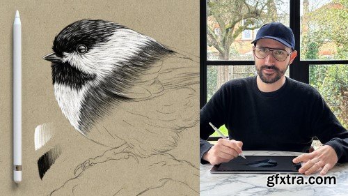 Procreate Essentials: The Black and White Pencil Technique