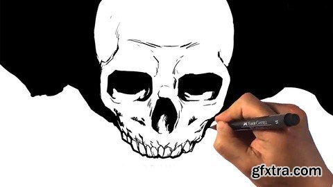 How To Draw The Skull - Figure Drawing Anatomy Course