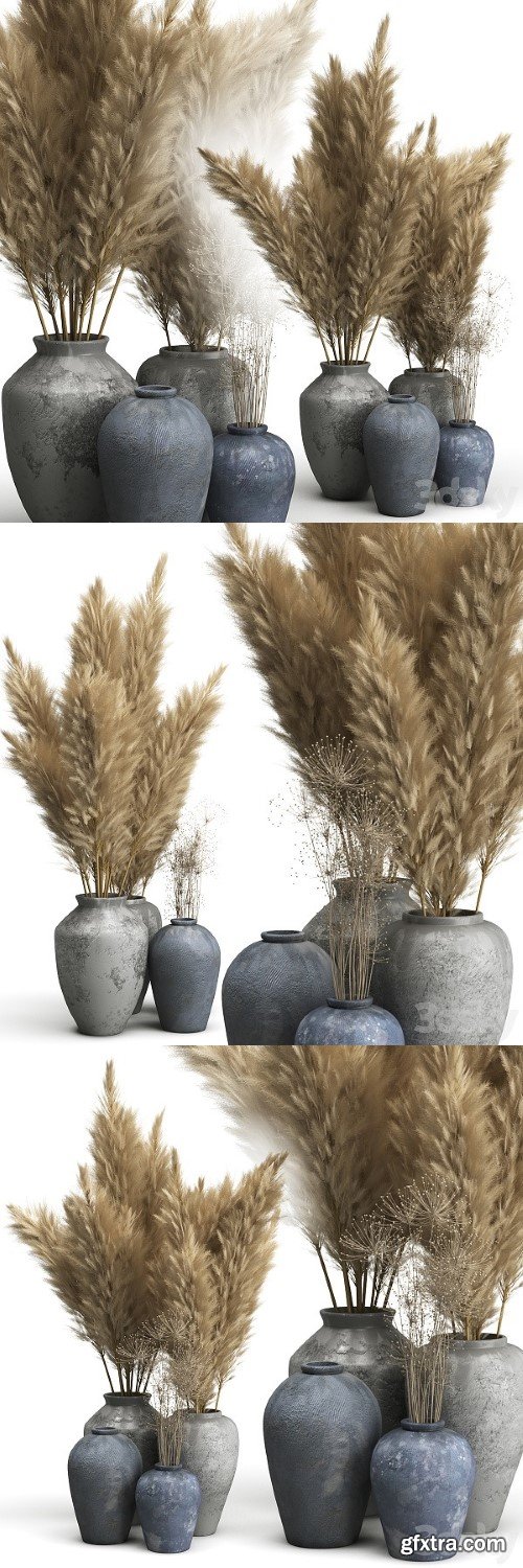 Decorative Set of Clay Vases and Pampas Grass