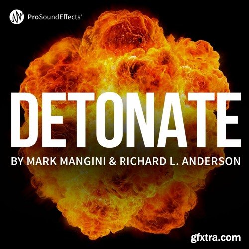 Pro Sound Effects : Detonate Stereo