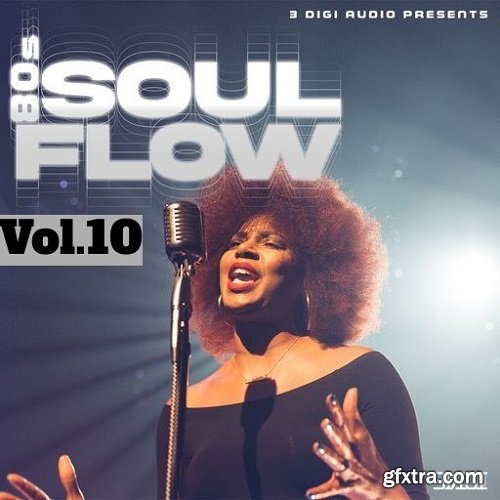 Innovative Samples 80's Soul Flow Vol 10