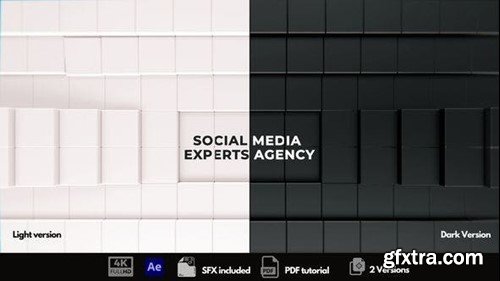 Videohive The Social Media Experts 44960462