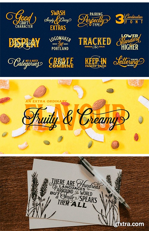 Delighter Script Font Family