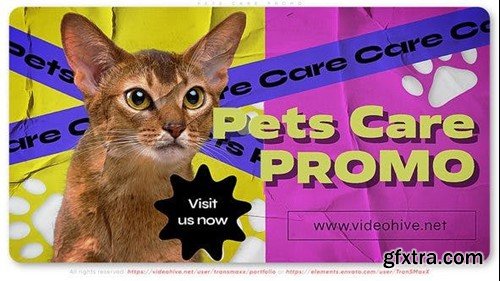 Videohive Pets Care Promo 45024534