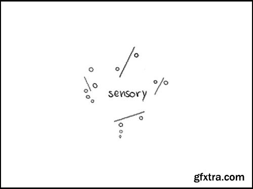 Imago Meri Sensory