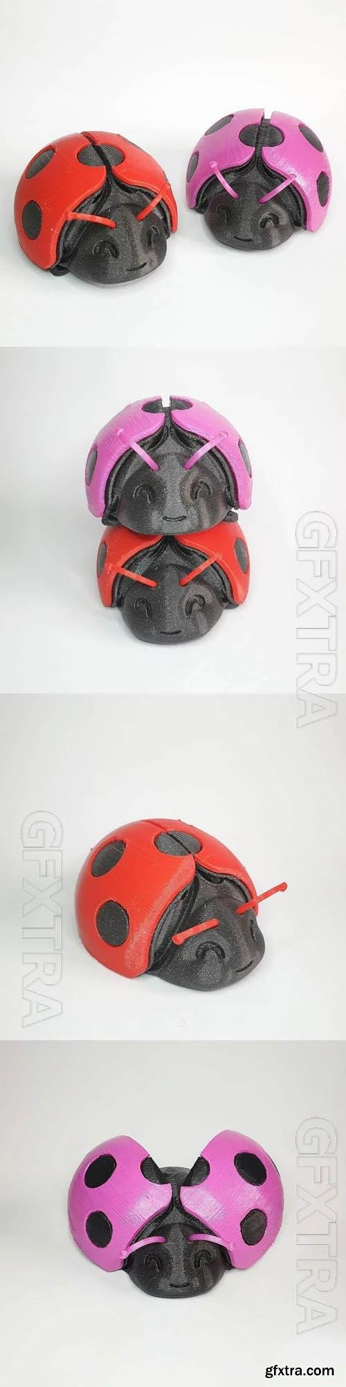 Ladybug 3D Print Model