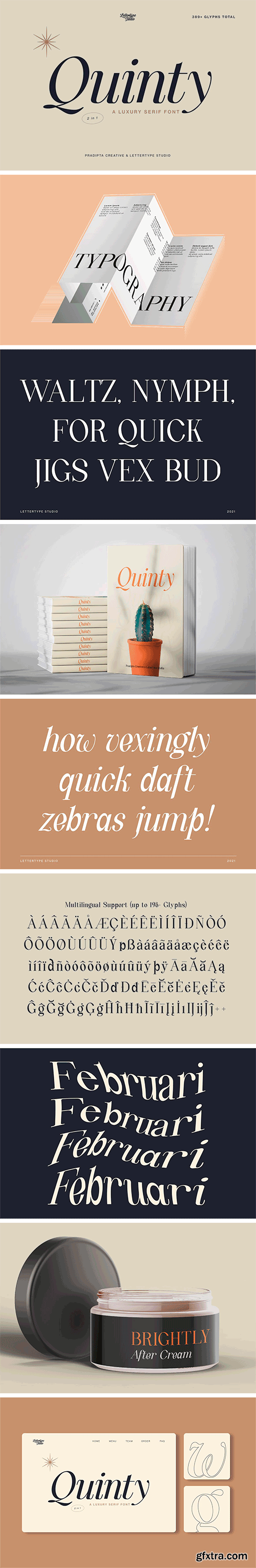 Quinty a Luxury Serif Font Family