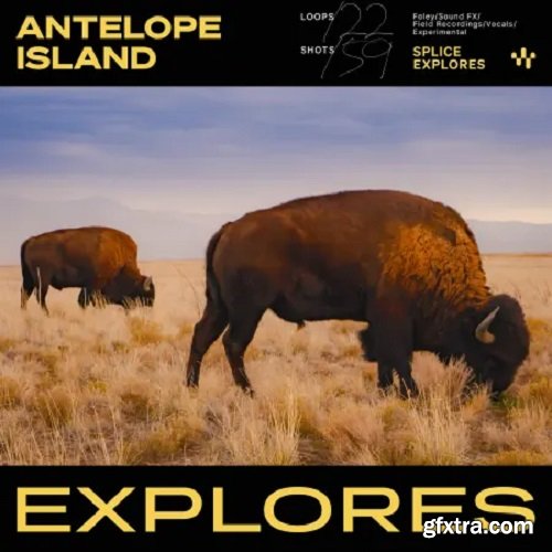 Splice Explores Antelope Island