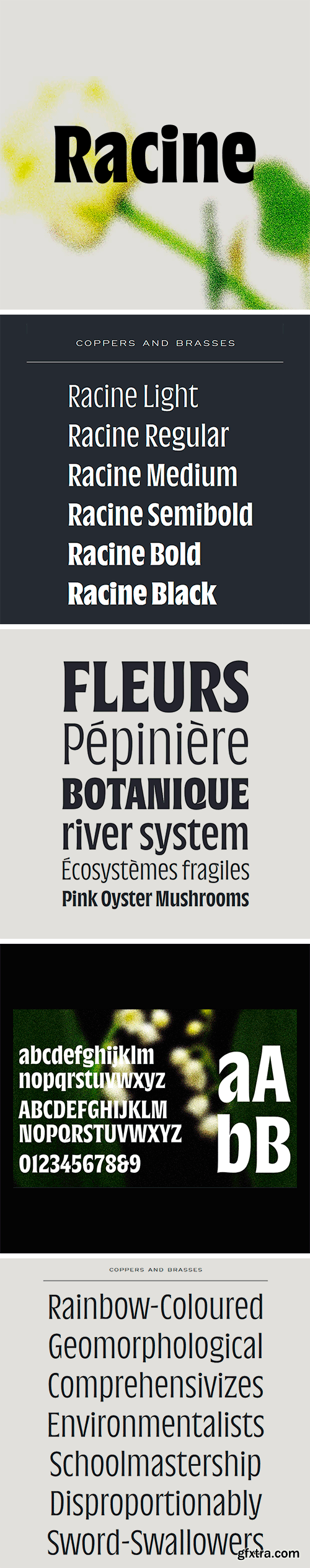 Racine Font Family