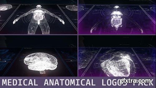 Videohive Medical Anatomical Logos Pack 45237295