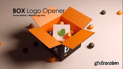 Videohive Box Product Logo 45382958