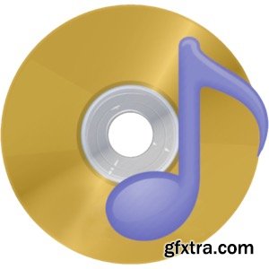 DVD Audio Extractor 8.6