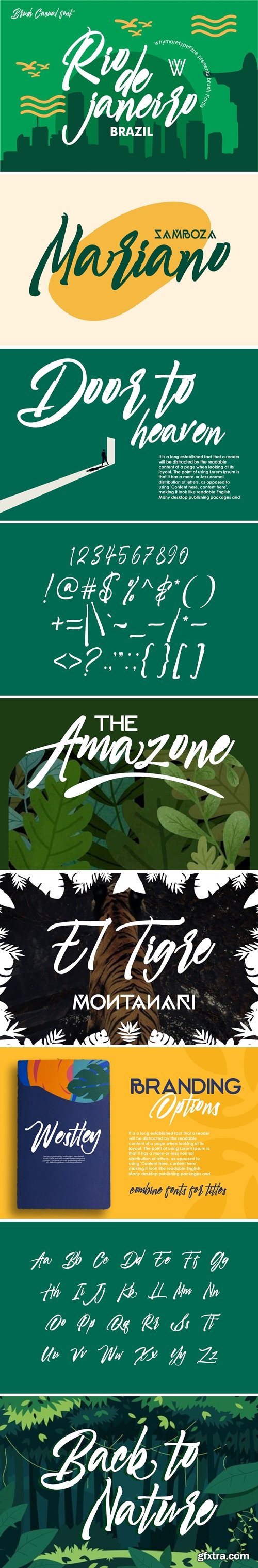 FontBundles - Rio de janeiro Script Brush Fonts 