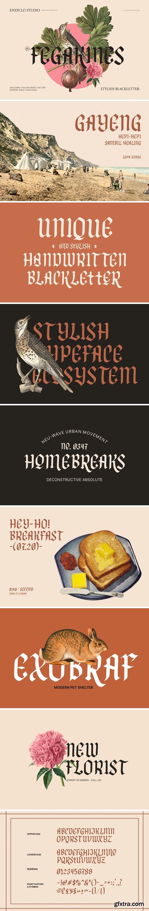 FontBundles - NCL FEGAKINES - Unique &amp; Stylish Blackletter 2165148