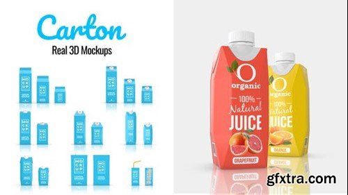 Videohive Carton Real 3D Mockups 45490991