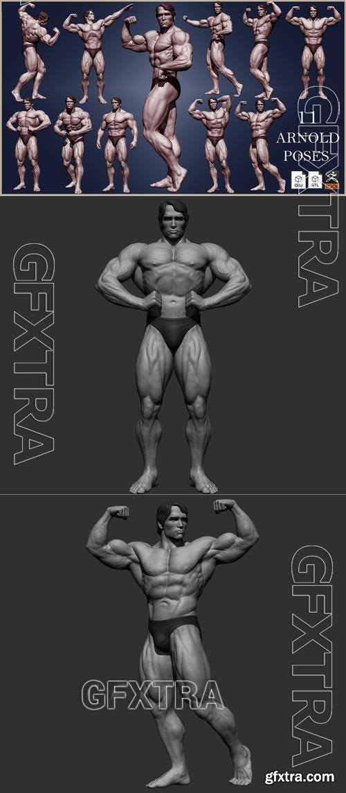 Arnold Schwarzeneg &ndash; 3D Print Model