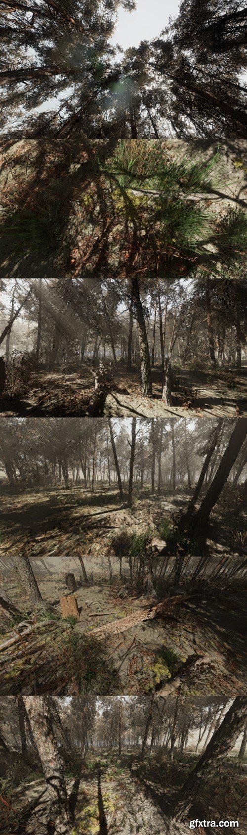 Pine forest - Photogrammetry based High poly Biome