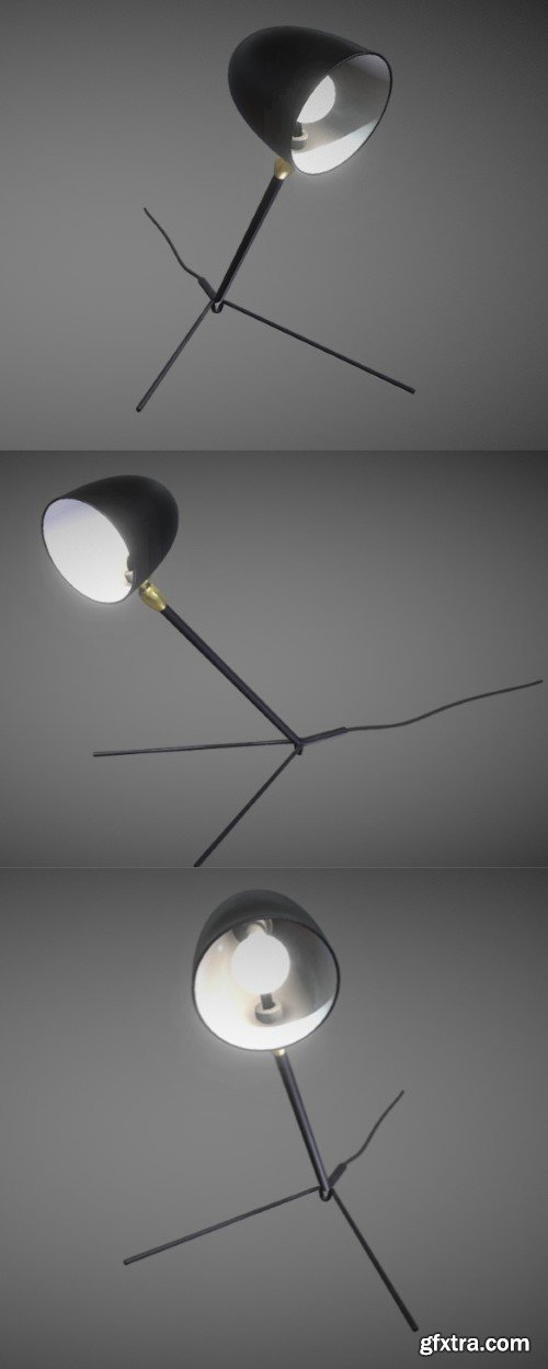 Cocotte - The Curious Lamp 3D Model