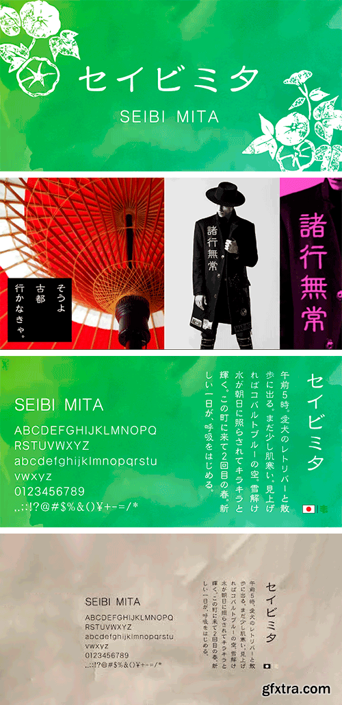 Seibi Mita Font | Latin, Cyrillic, Greek & Japanese