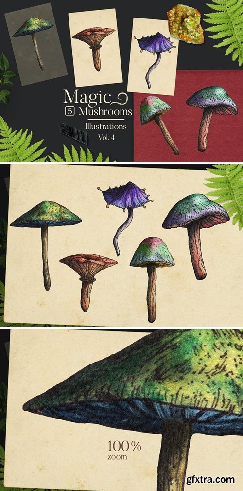 Magic Mushrooms Illustrations 4 4BUJLN3