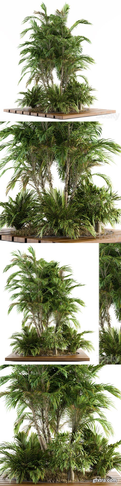 Garden set Tropical bush and Tree - Garden Set 05