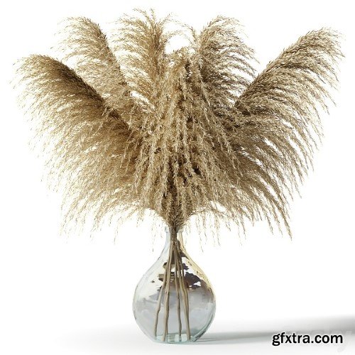 Pampas Grass in a Glass Vase Sofia Bouquet