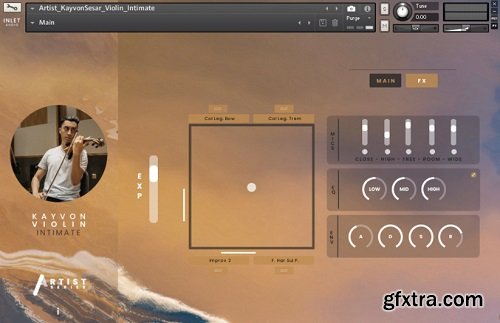 Inletaudio Kayvon Violin Intimate