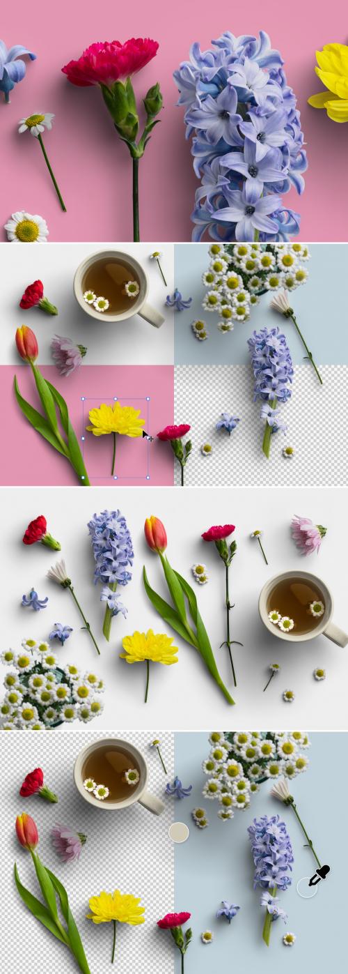 Spring Flowers Items Scene Creator 586594618