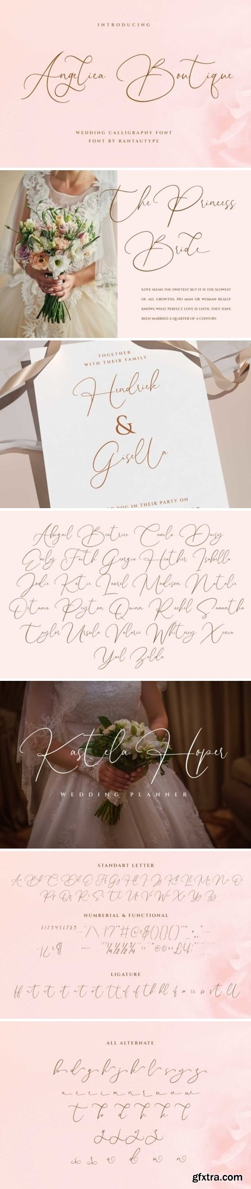 CM - Angelica Boutique- Calligraphy Font 16520863