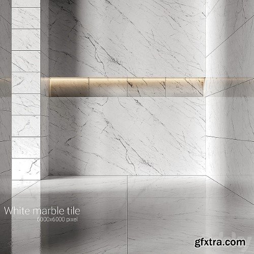 White Marble Tiles 5