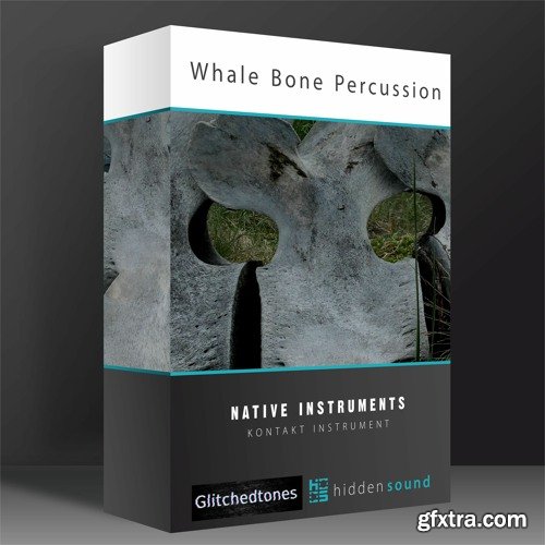 Glitchedtones x Hidden Sound Whale Bone Percussion