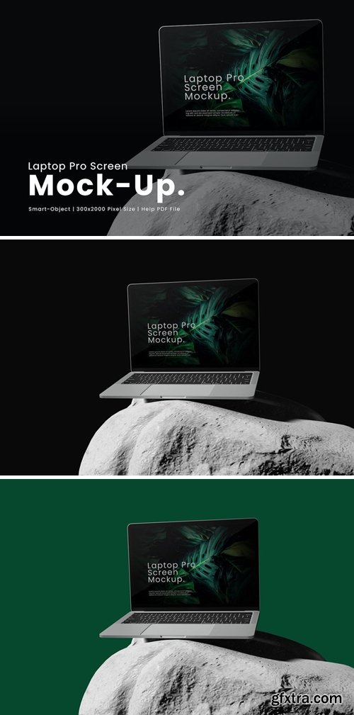 Laptop Pro Screen Mockup P2583TC