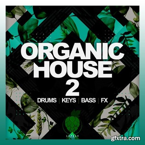 Dirty Music Organic House Vol 2