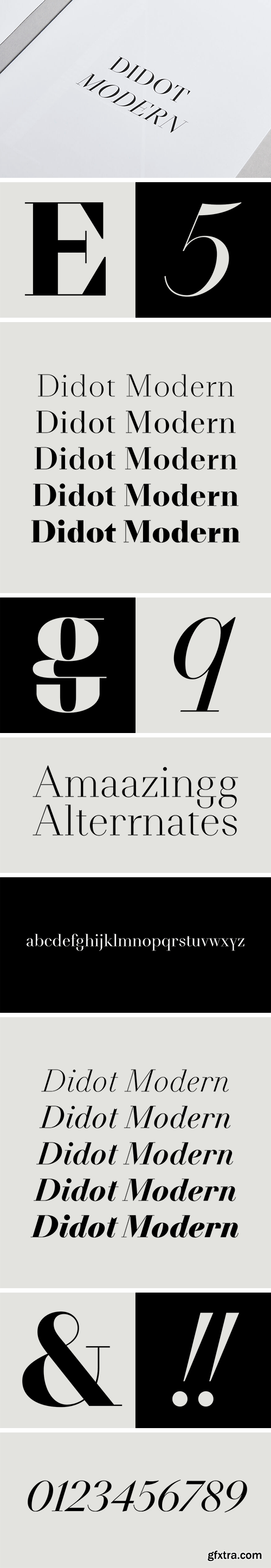 NN Didot Modern Font Family