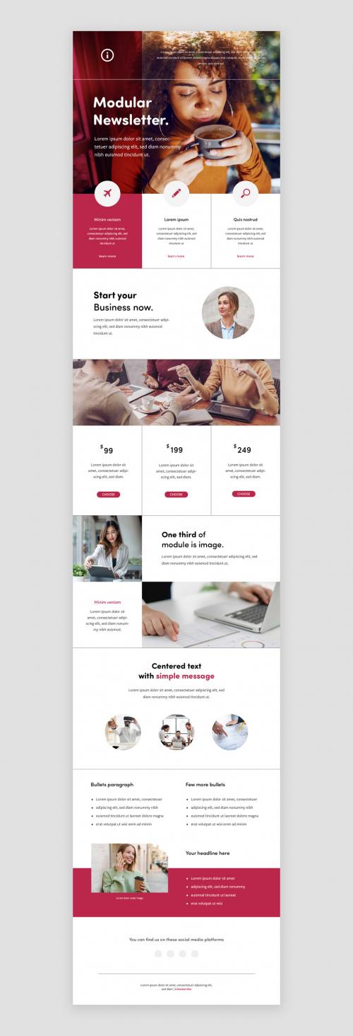 Modular Newsletter With Magenta Accent 565419353