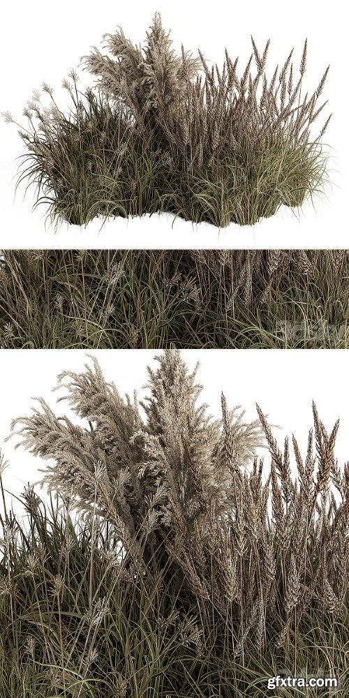 Pampas Plant Bush Set 96