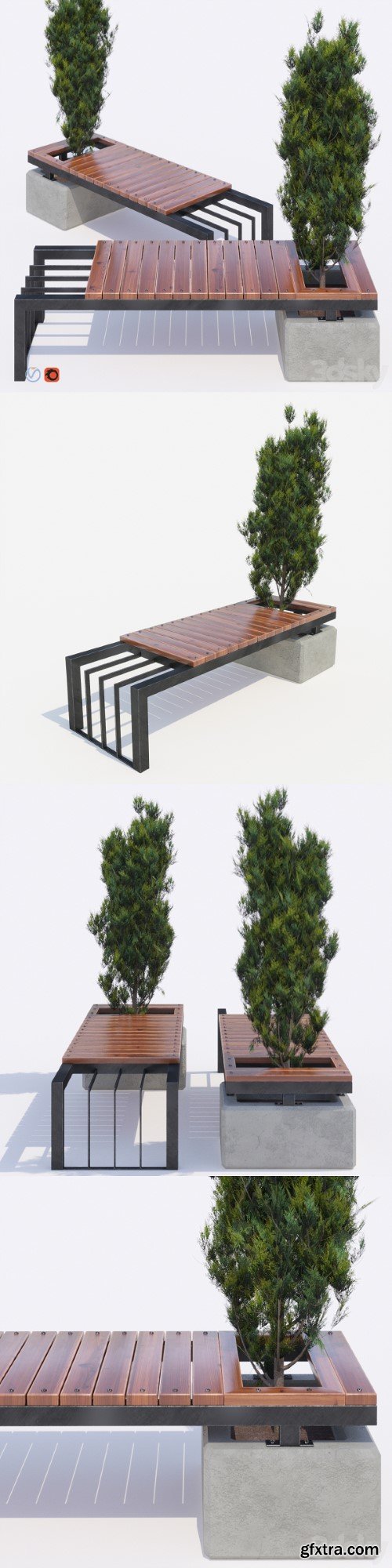 bench and thuja