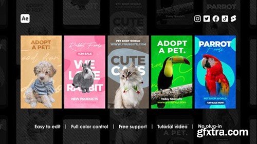 Videohive Veterinary Instagram Reels 45959777