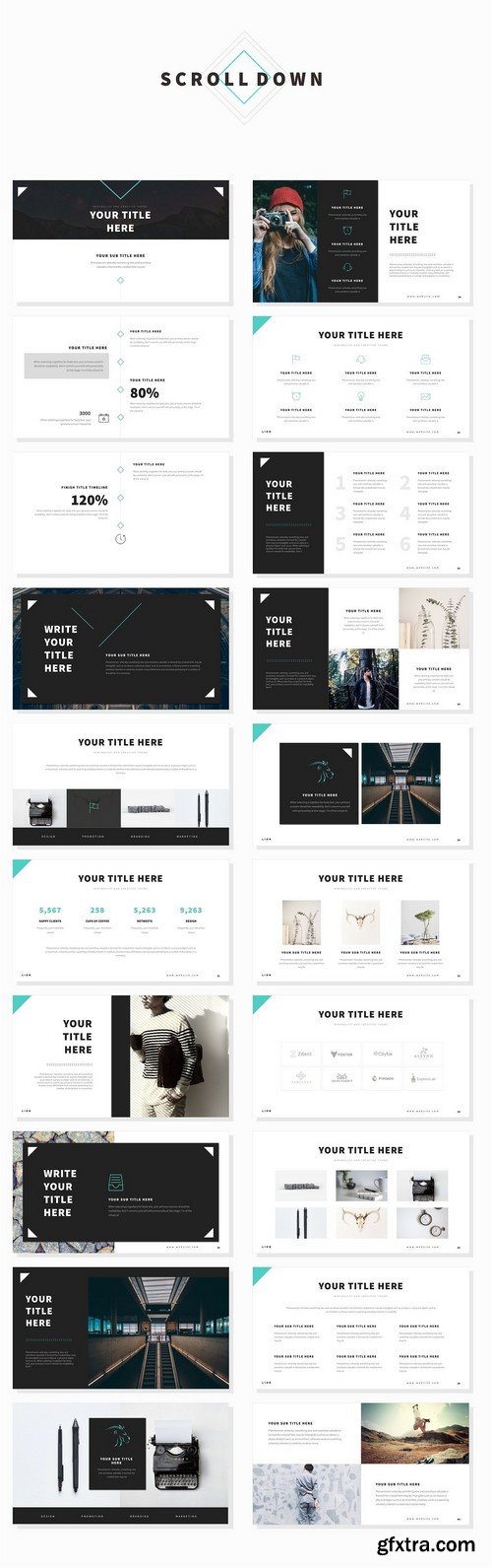 CM - Lion Multipurpose Theme 916888