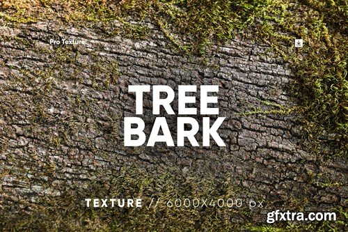 30 Tree Bark Textures HQ VHD49PN