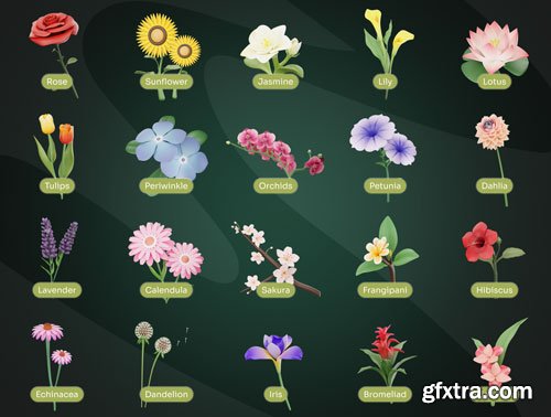 Flowy - Flowers 3D Icon Set Ui8.net